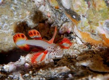 �����@��l